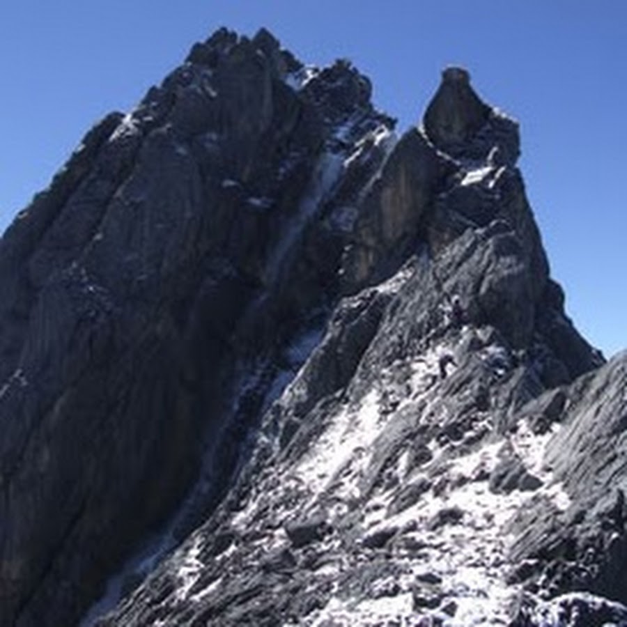 Why did carstensz and cook reach