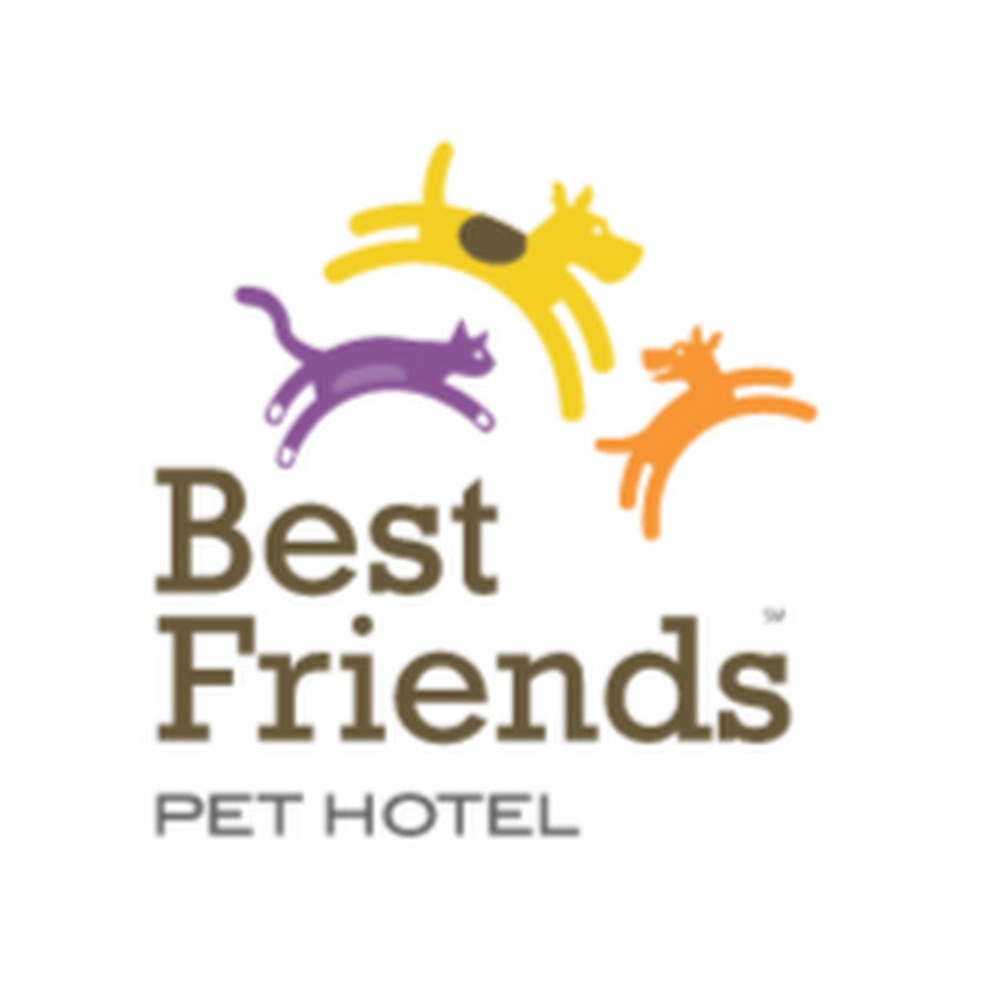 Friends for Pets гостиница. Pets Hotel название без фона. Pet friendly Hotel. Friends for pets