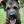 RockyTheGermanShepherd avatar