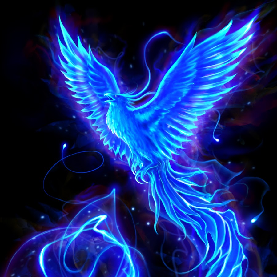 blue phoenix bird wallpaper
