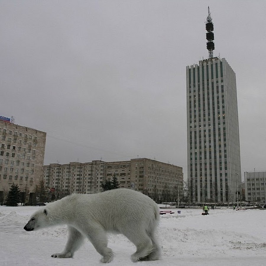 архангельск площадь ленина