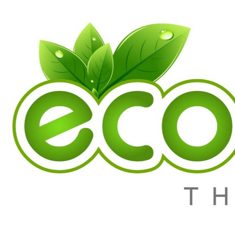 Eco icon. Эко эмблема. Эко клининг логотип. «Eco (эко)». Эко пиктограмма.