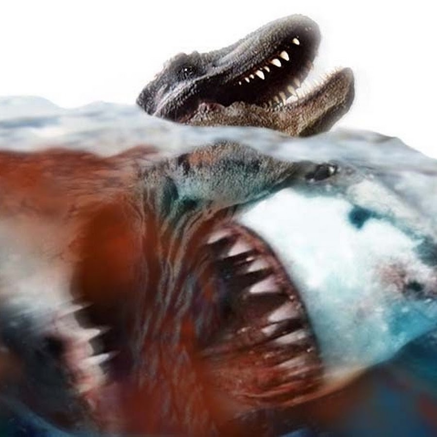 Кархародон МЕГАЛОДОН. Страшные акулы МЕГАЛОДОН. МЕГАЛОДОН И Тираннозавр. Акула-монстр МЕГАЛОДОН жив. Правда что акулы боятся пузырьков