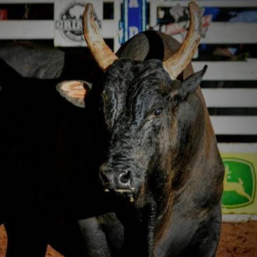 Festa do Peão de Salto do Pirapora recebe etapa da PBR de 29 de junho a 02  de julho — A Professional Bull Riders