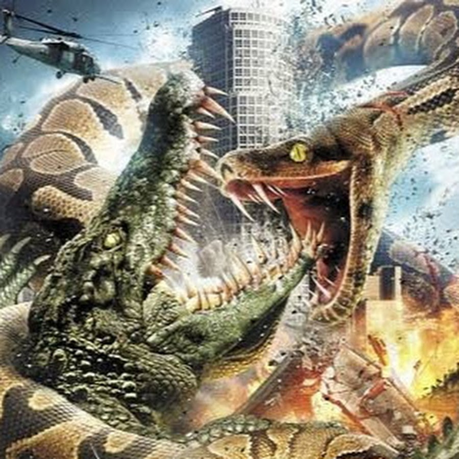 Про крокодилов 2022. Возвращение титанов фильм 2011. Возвращение титанов / Mega Python vs Gatoroid. Гатороида мега питон. Мега питон против аллигатора.