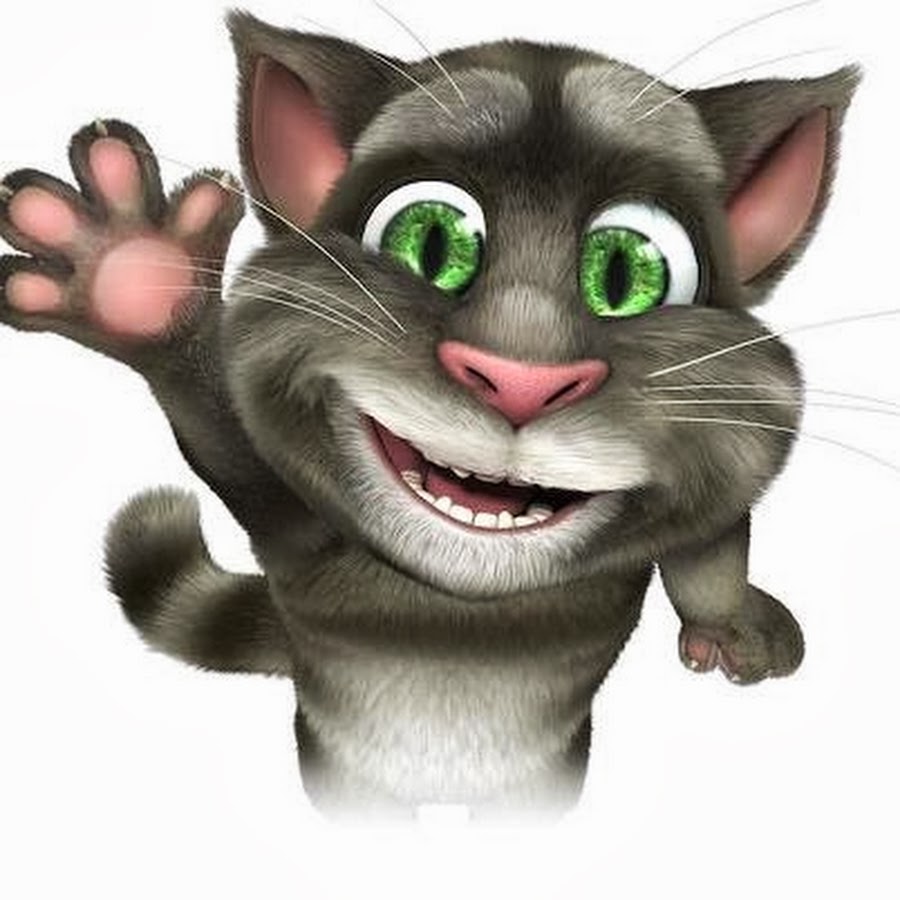 Talking tom's. Talking Tom. Том кот том. Кот тим. Том и кошка.