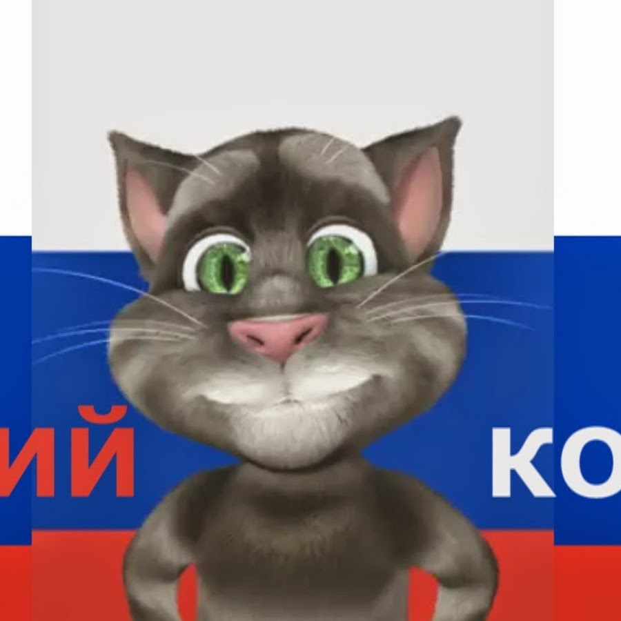 Большой шлепа русский кот