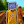 PlataBush avatar