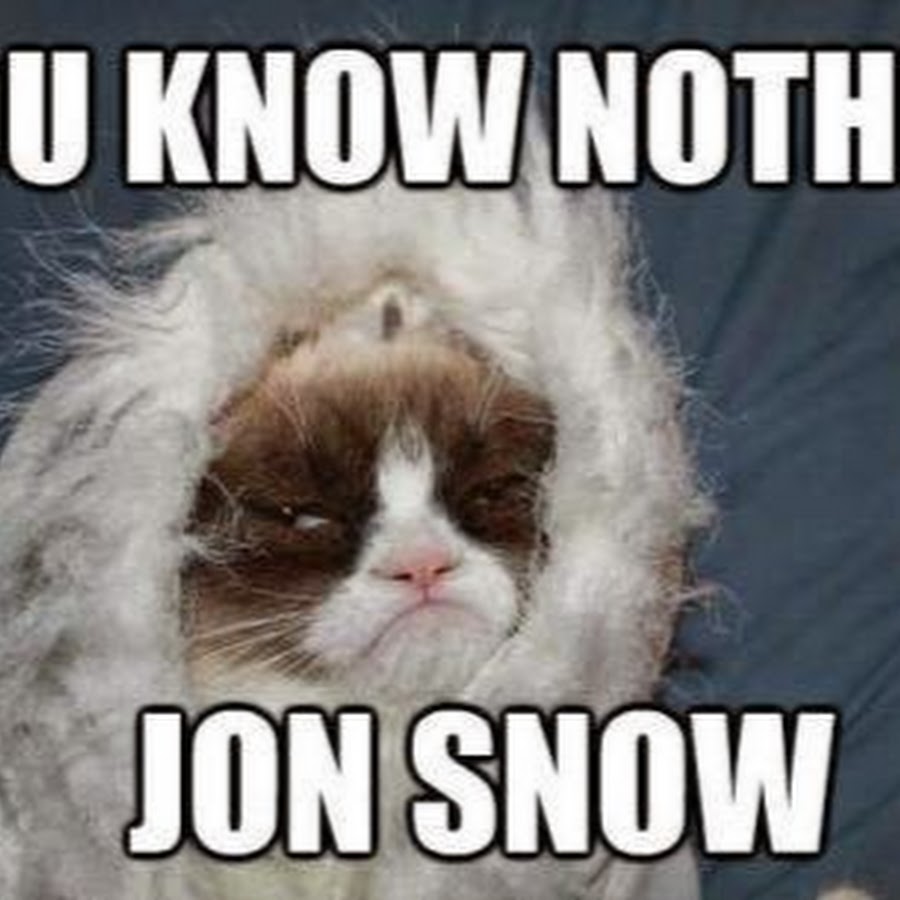 Know nothing s. Игра престолов Мем с кошкой. You know nothing Cat. Grumpy Cat Snow picture. John Snow Cat.