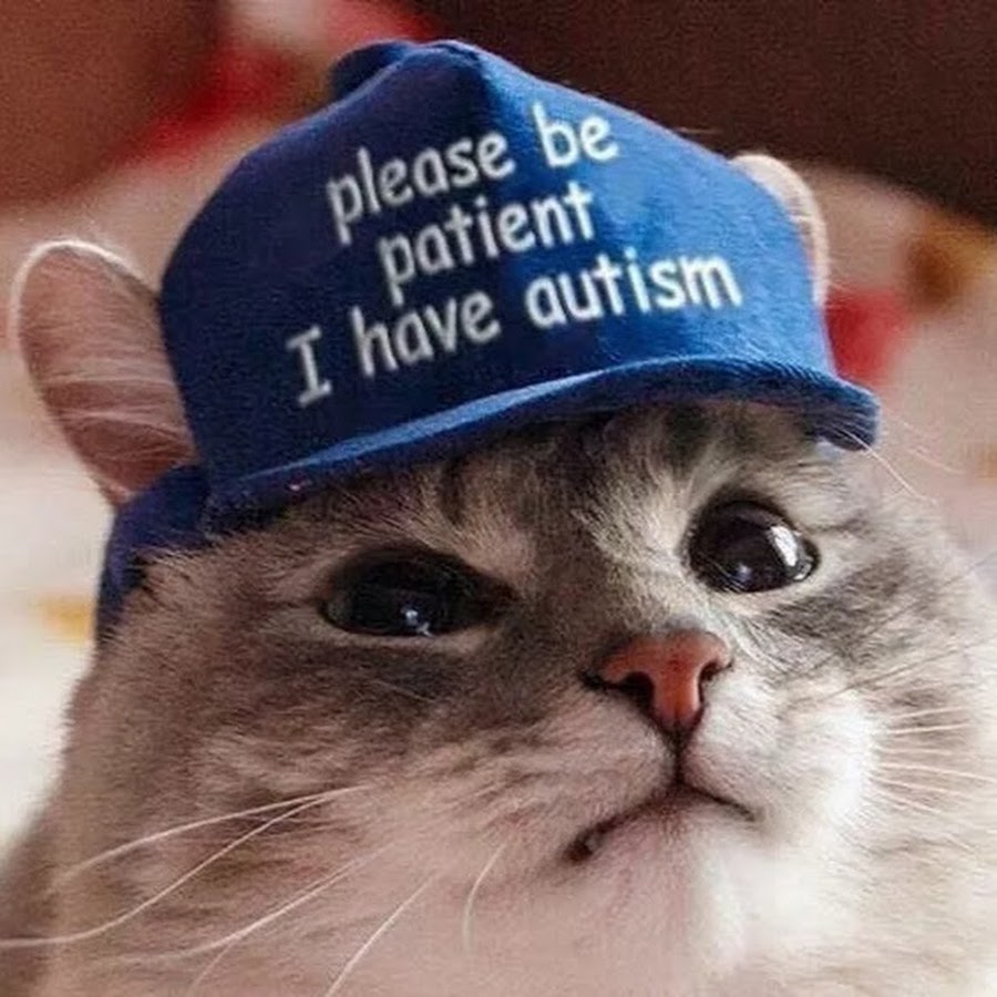 Can we please have fun. Кот в кепке. Кот в фуражке. Please be Patient i have Autism кепка. У меня аутизм.