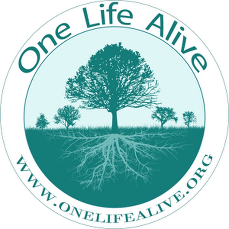 One life. Alive Life.