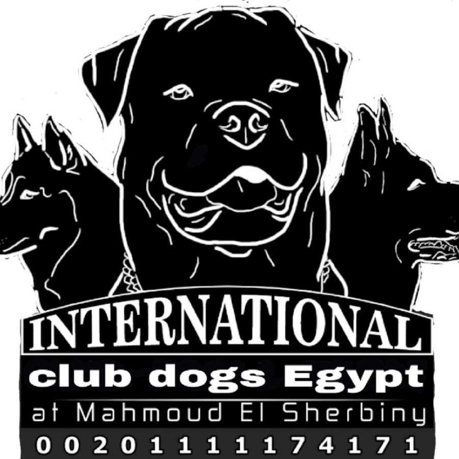 International club