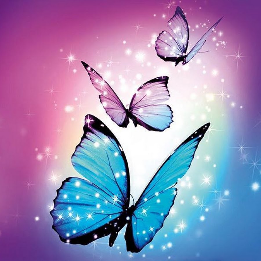 Розово голубая бабочка. Бабочки розово голубые. Голубая бабочка. Бабочки на голубом фоне. Сине розовые бабочки.