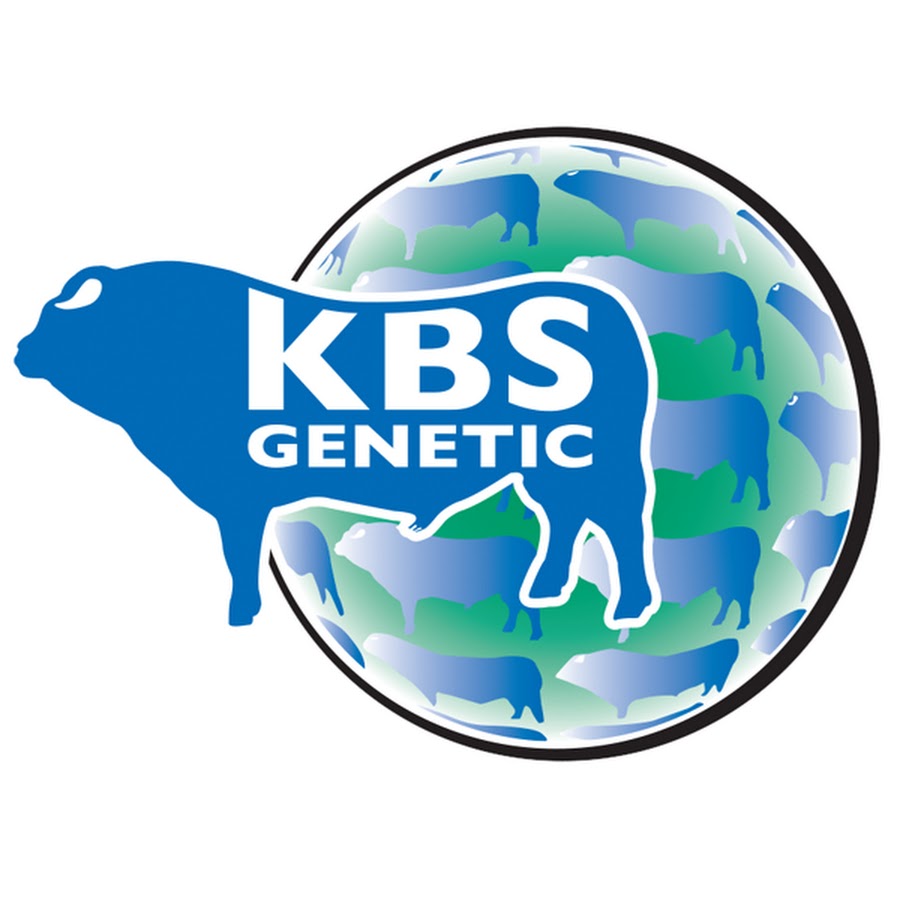 K b s. КБС логотип. KBS logo. KBS.