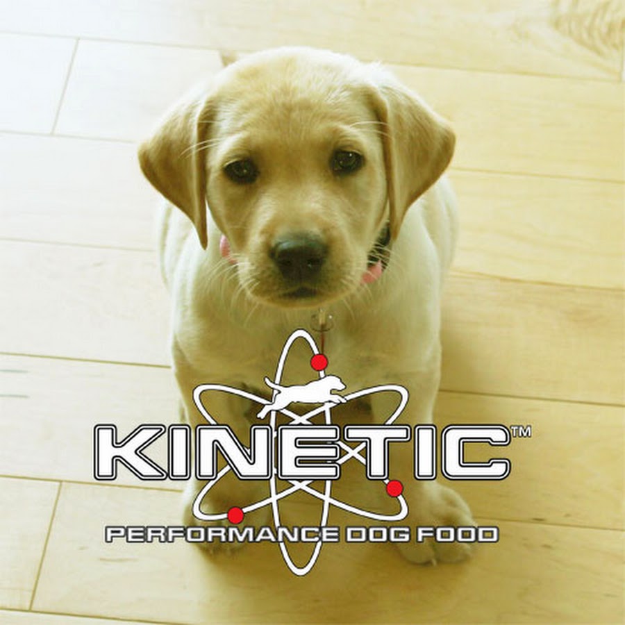 Kinetics dog food