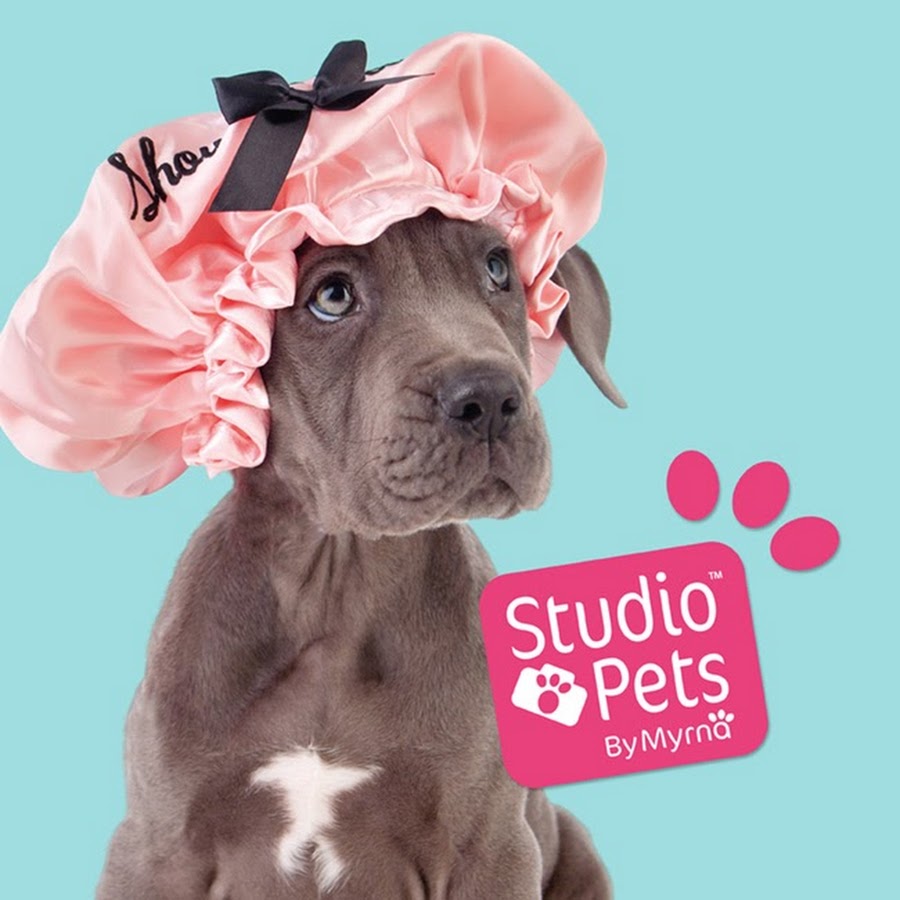 Studio pets. Studio Pets by Myrna. Pet by. Studio cute Pet..