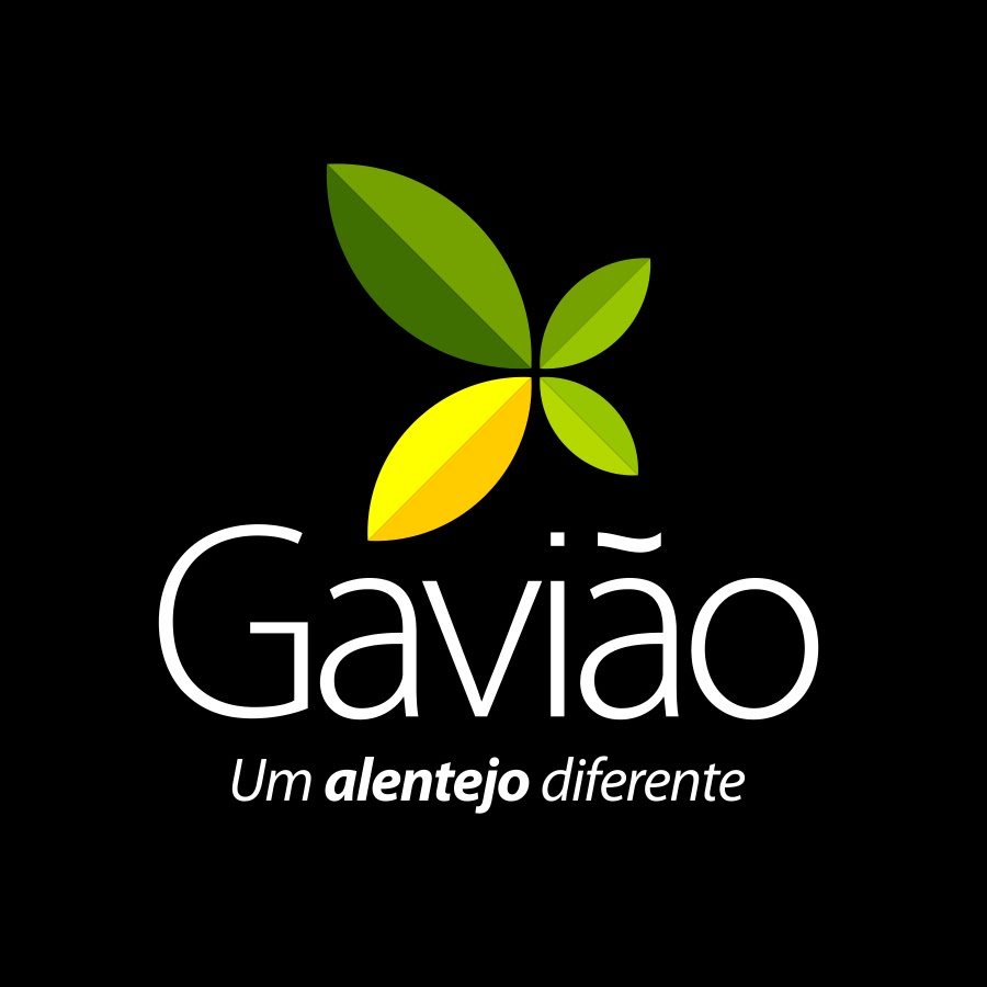 CM - Gavião