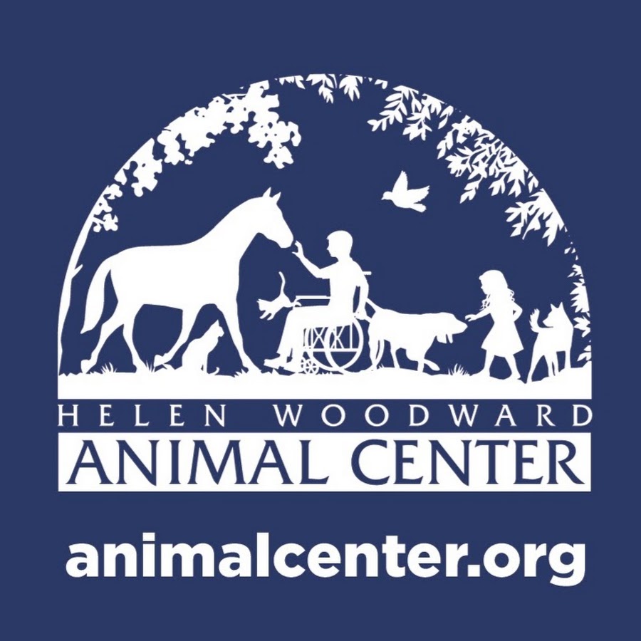 Animal center