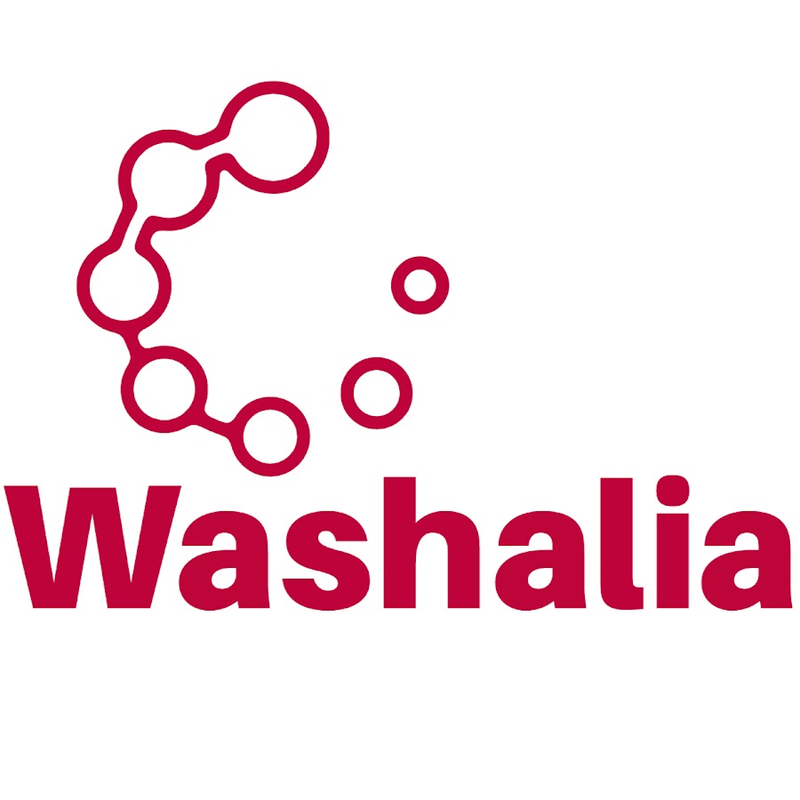 Washalia PLT5, Car mat-cleaner