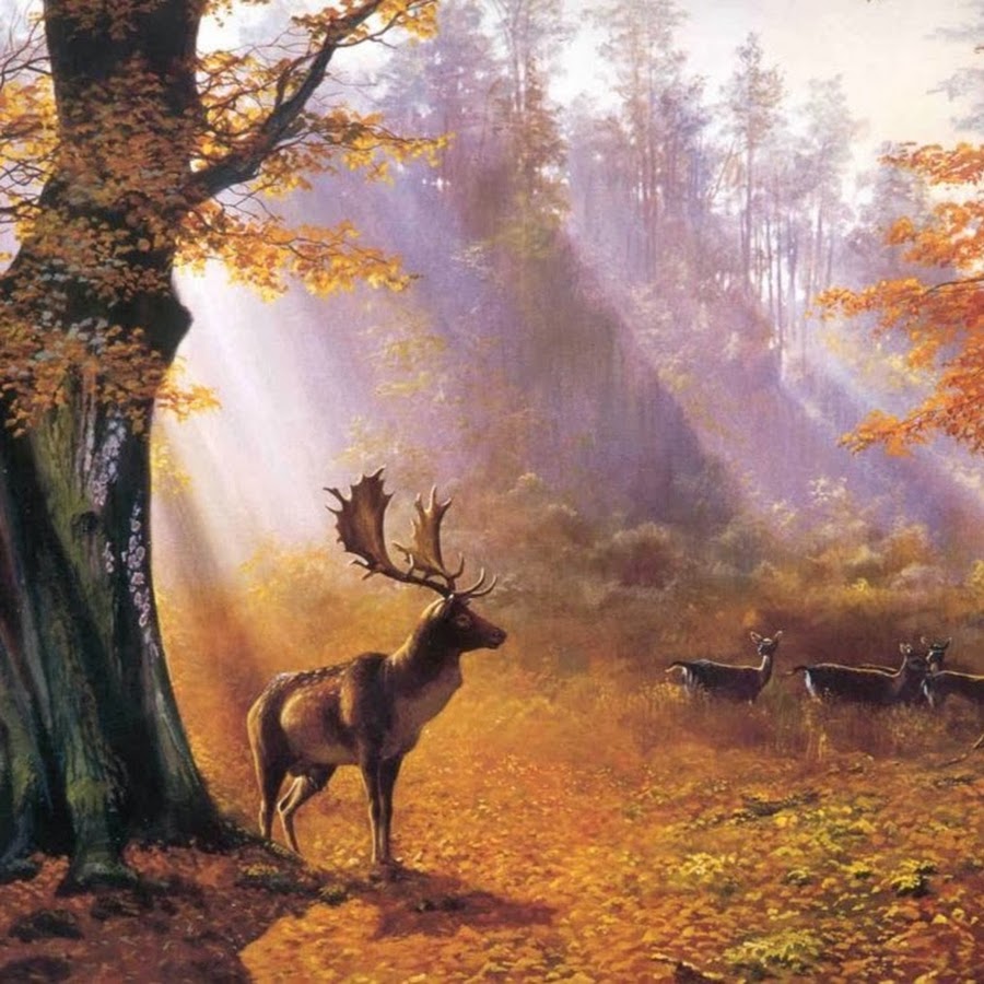 Олень в березах. Пейзаж с животными. Пейзаж с оленем. Олень в лесу. Осенний пейзаж с оленем.