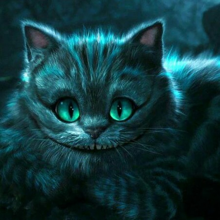 чеширский кот фото