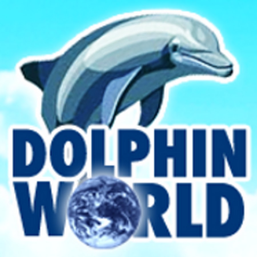 Swim with Dolphins South Beach Miami Tours-(800)667-5524