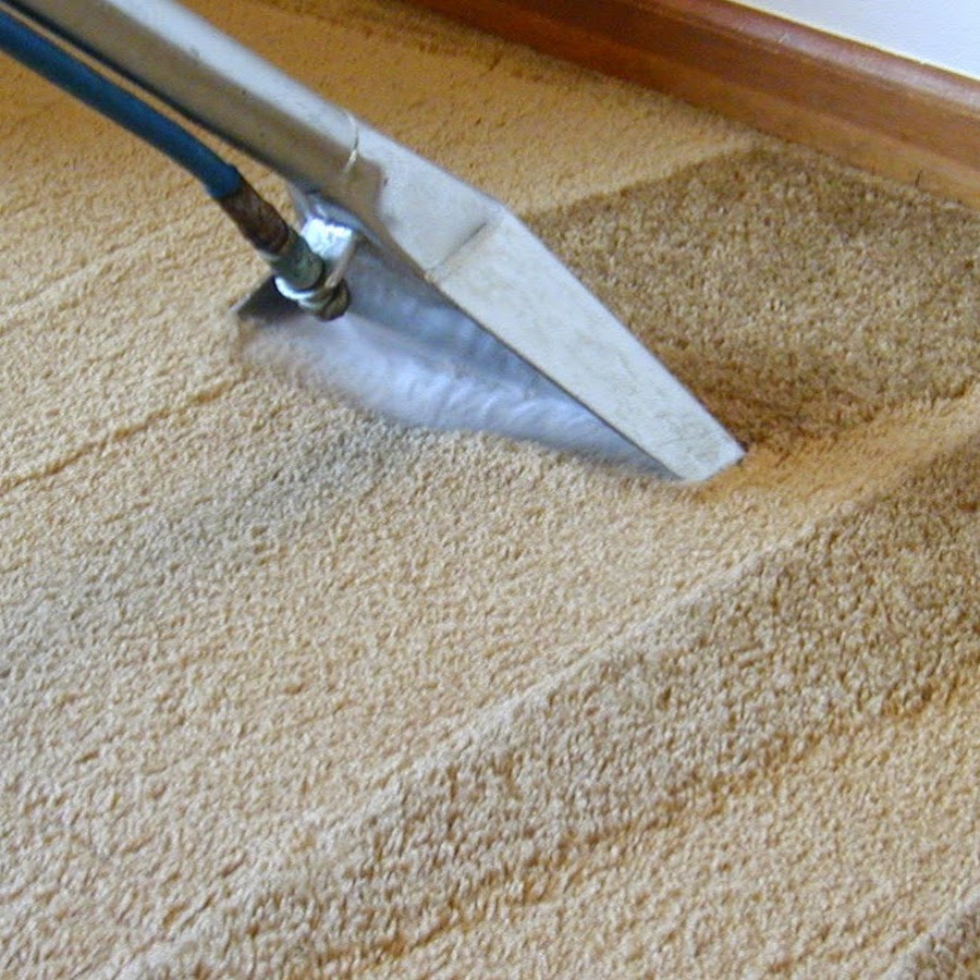 Пылесос на ковре. Химчистка ковров. Чистка ковра. Химчистка ковра. Clean carpet.