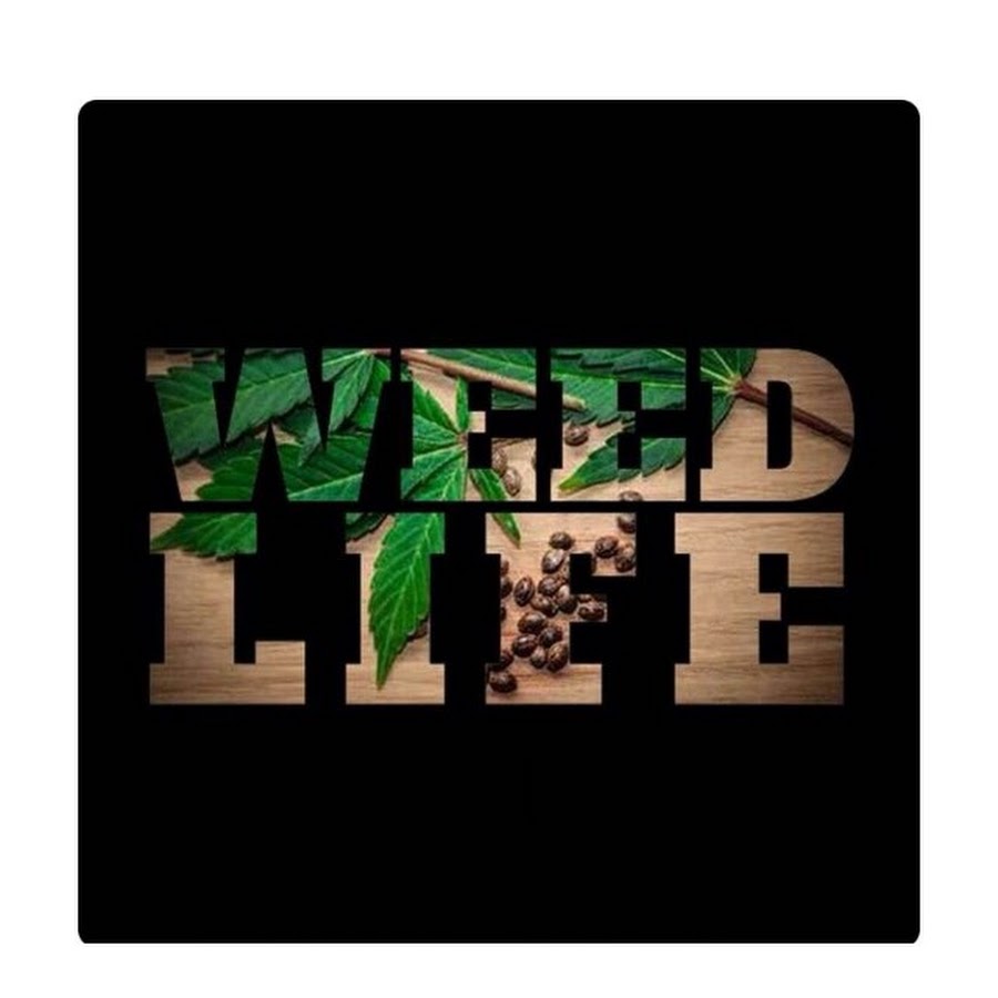 Everything n. Weed Life. Stoner надпись. Стонер лайф. Weed Life картинка.