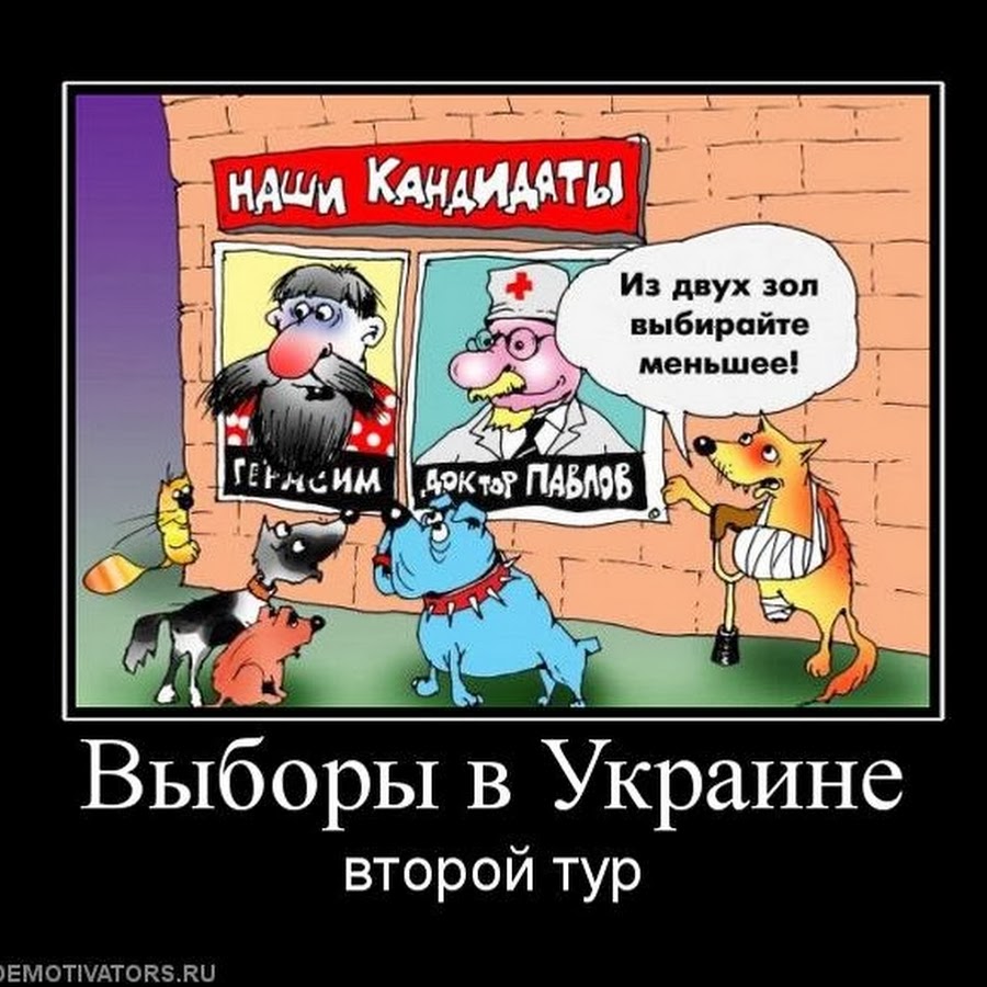 Включи выборы выборы