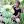 survivalskillsanywhere avatar