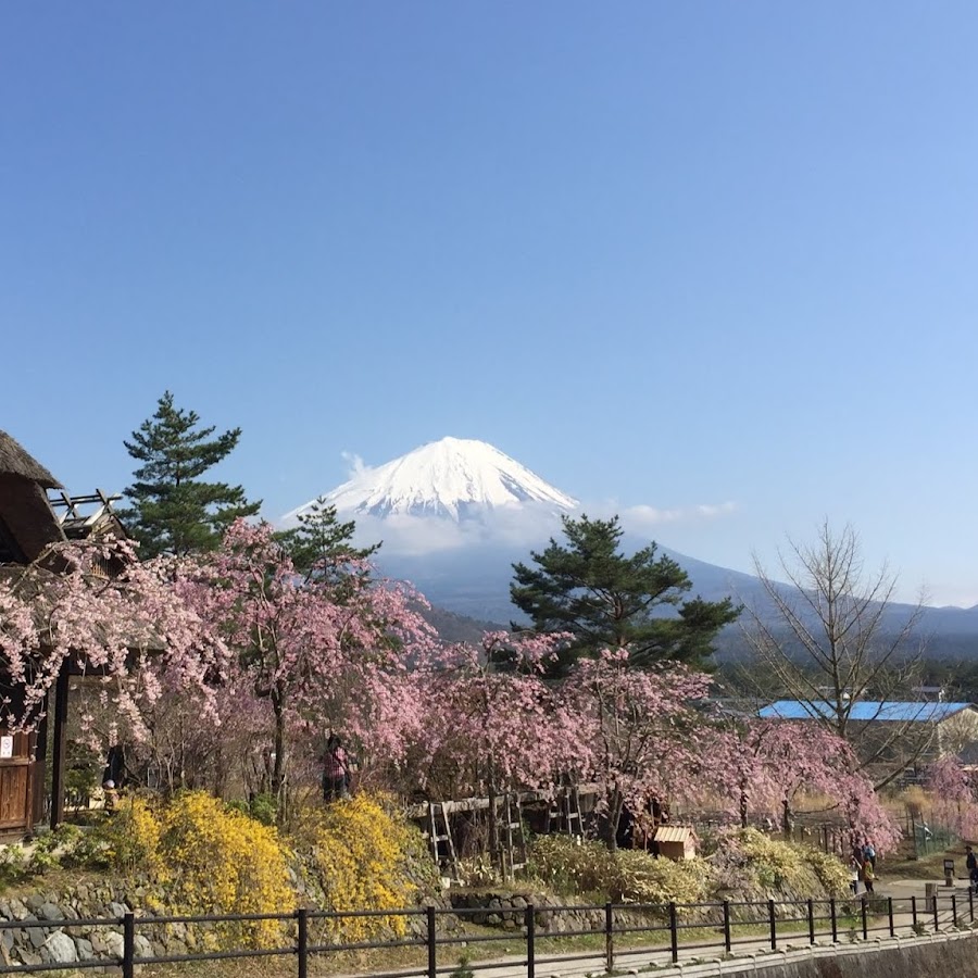 Japan video. Япония видео.