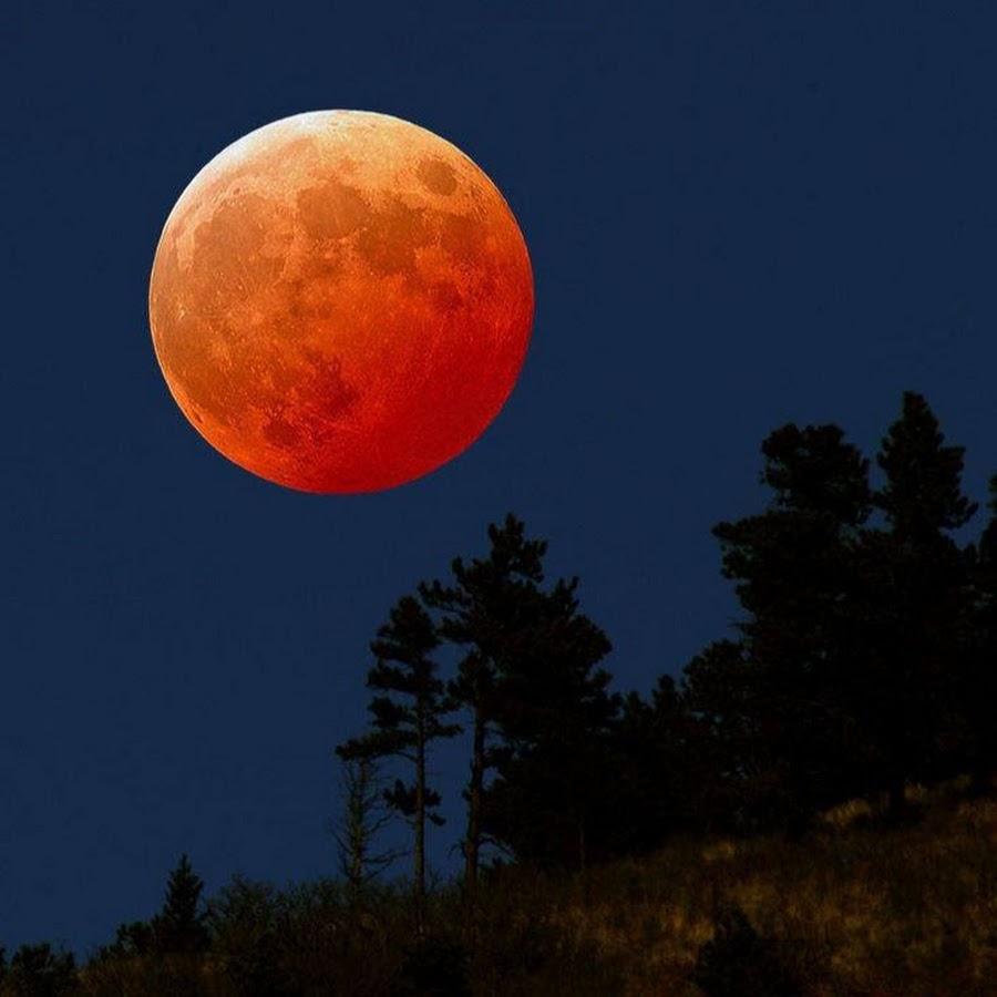 Почему сегодня луна оранжевая. Лунное затмение Кровавая Луна. Лунное затмение 8 ноября 2022. Красная Луна. Оранжевая Луна.