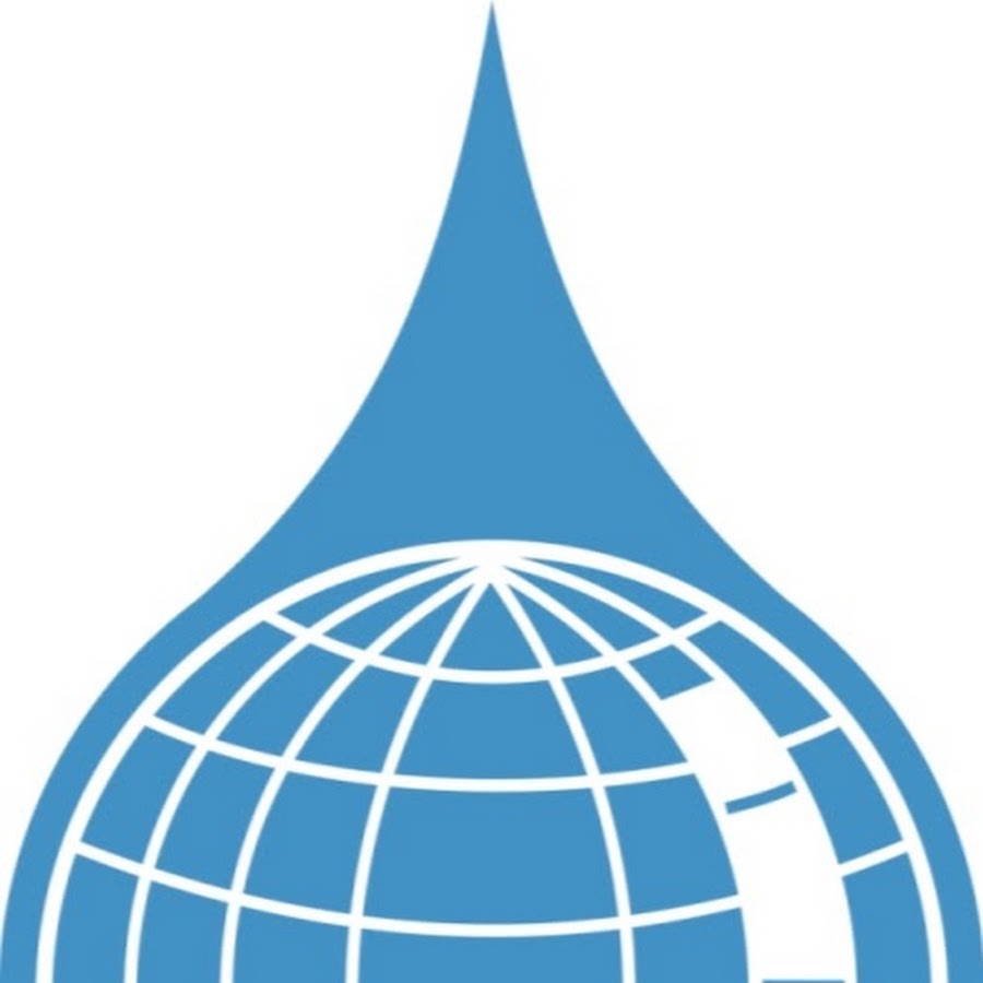 International water. International Water resources Management. IWRA.