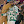 LalgerinoOfficiel avatar