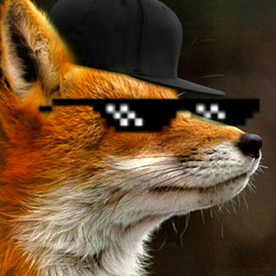 Fox profile steam фото 10