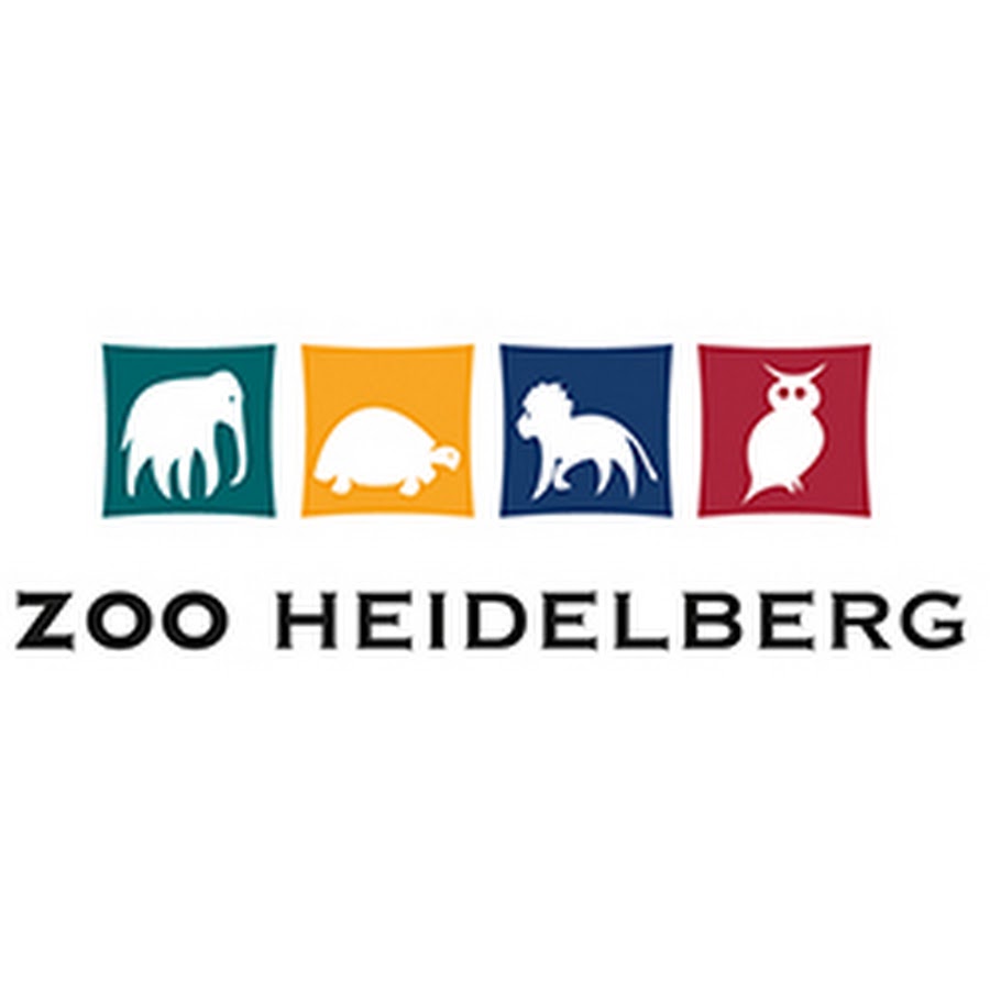 Гейдельберг зоо. Heidelberg Zoo. Smallest zoo