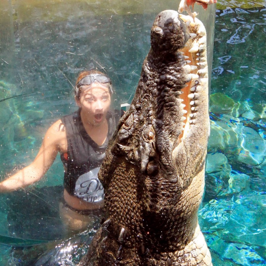 Croccove  A Year with the Reptiles at Crocosaurus Cove