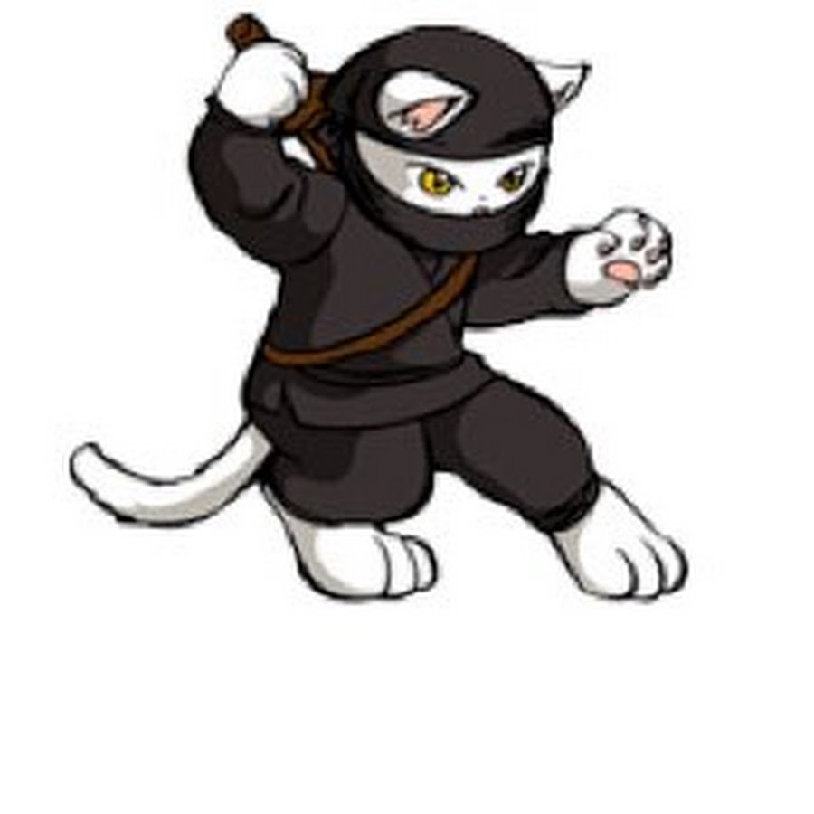 Ninja cat