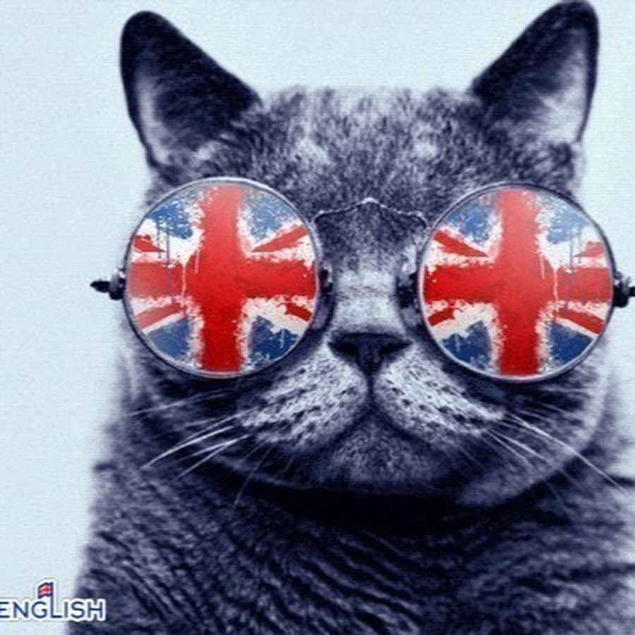 Crazy english. Кот Жорик. Cat in Glasses.