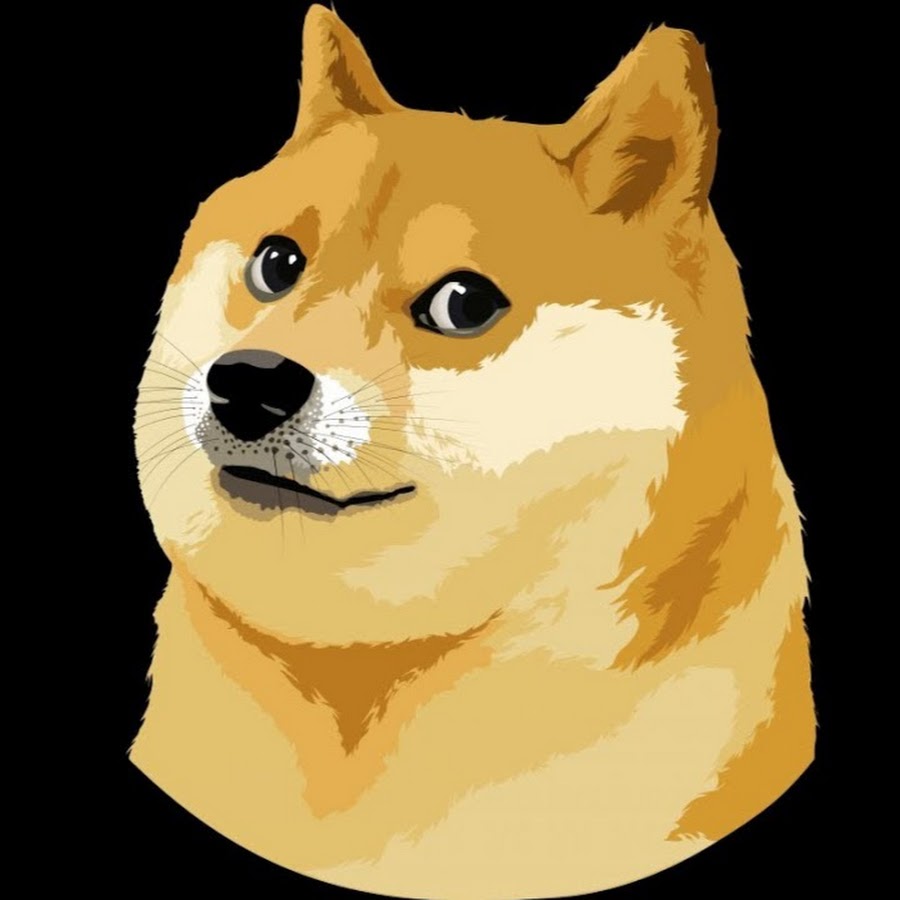 This is doge steam фото 73