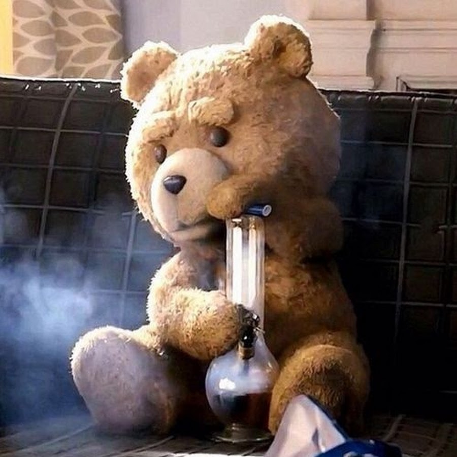 Teddy bear steam фото 15