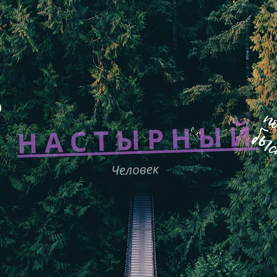 Настырный