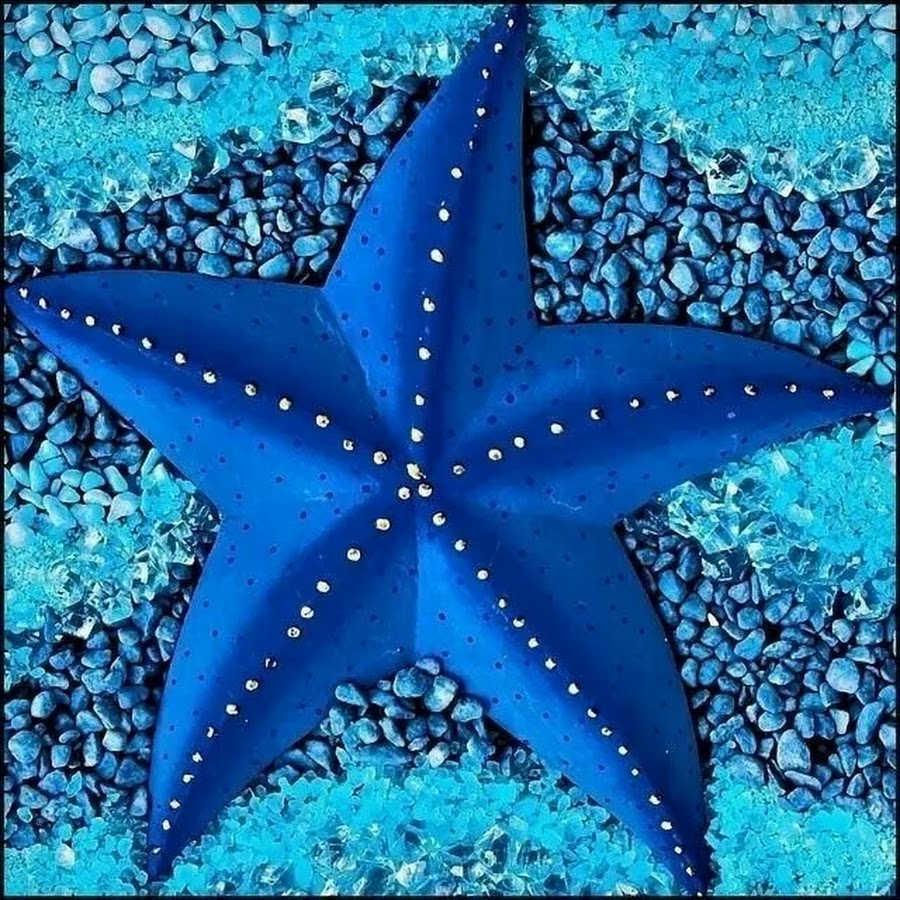 Фиолетовая морская звезда. Шестиконечная морская звезда. Звезда линкия голубая. Синяя морская звезда. Разноцветные морские звезды.