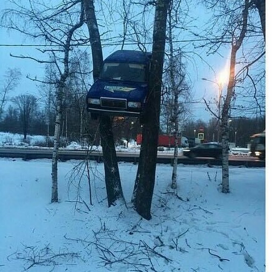 Дерево в автомобиле