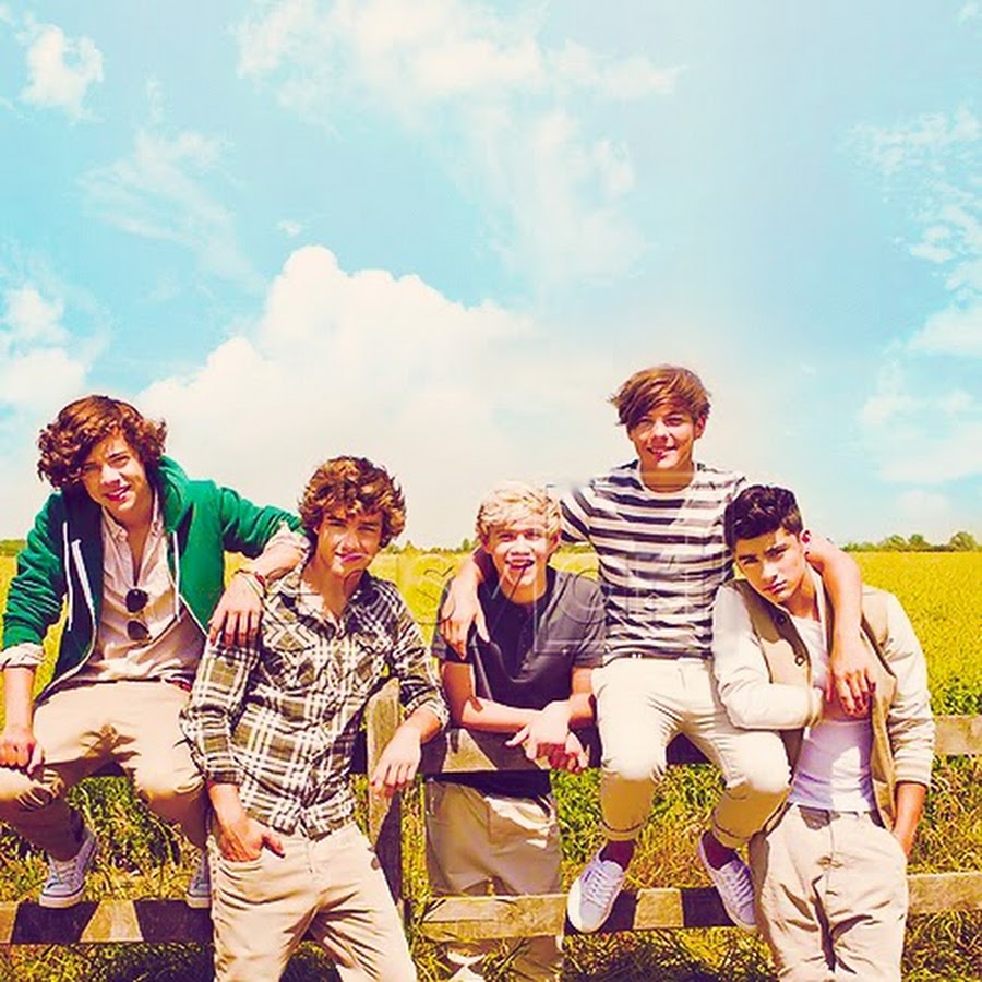 Up all night. One Direction летом. Группа Oneders. One Direction летом в парке. Up all Night фанфик.