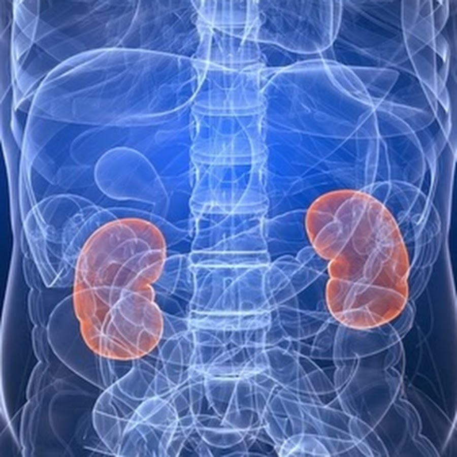 Нефролог кто и что лечит. Гепатит фон. Rheumatology and the Kidney.