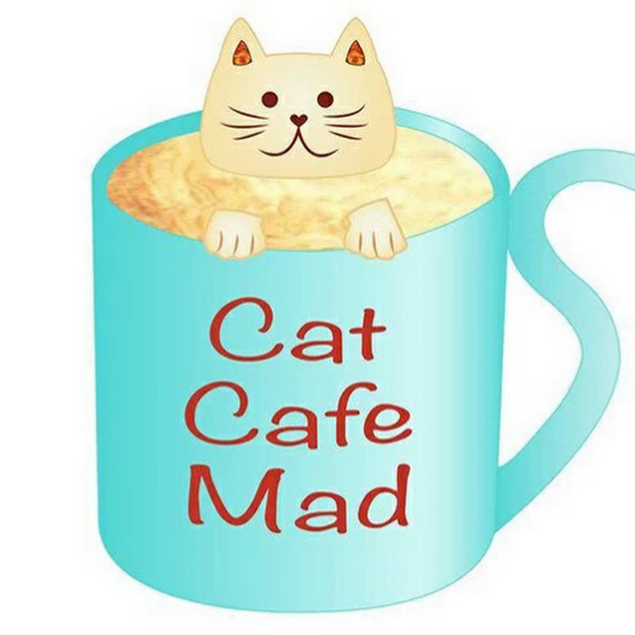 T cat. Киви Cats Cafe. Cat CAF без фона. Текст Cats Cafe. Cat Cafe PNG.