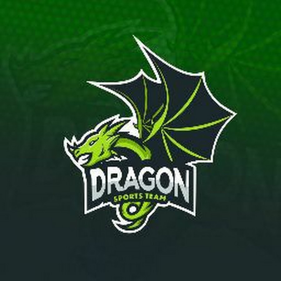 Команда дракон. Команда Dragon. Команды драгон. Тим дракон. Дракончик Team.