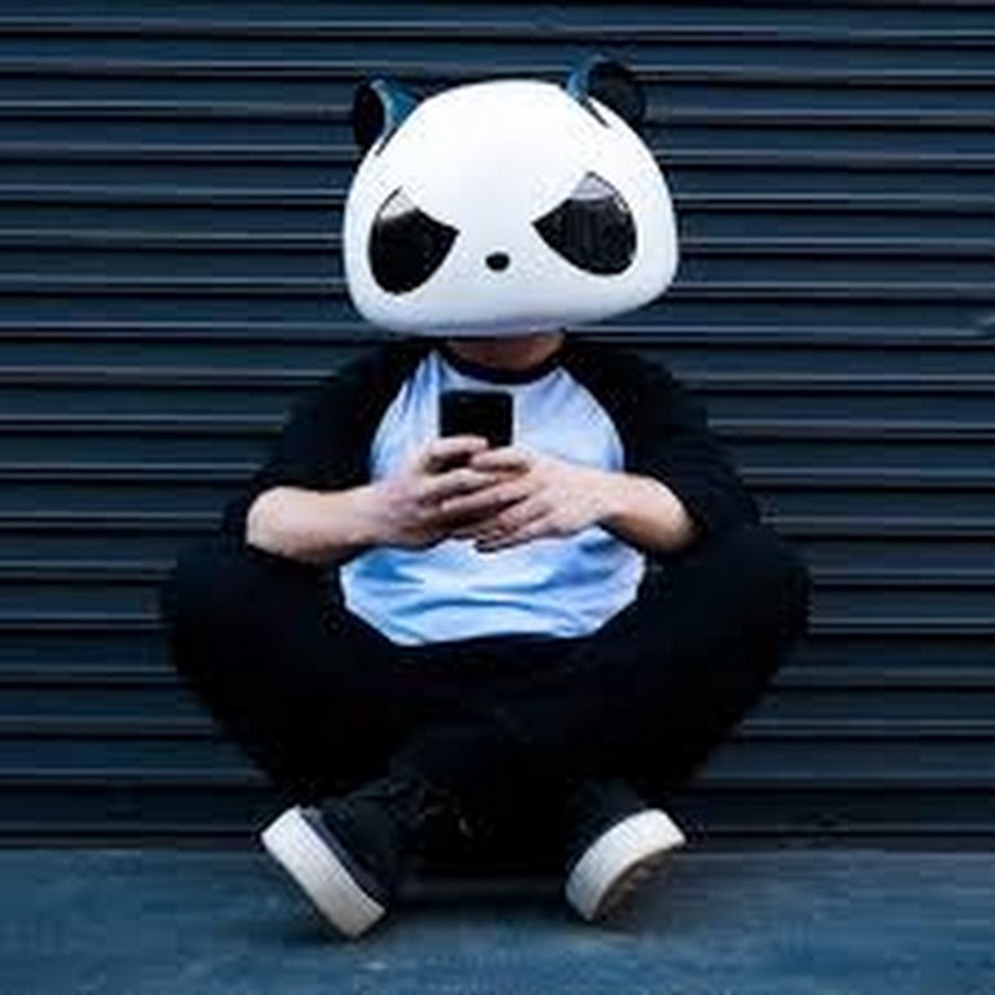 White panda. Панда рок. Харизматичная Панда. Панда Вайт с3. Panda Music.