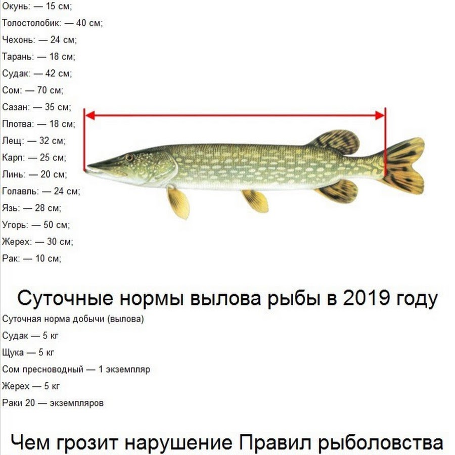 Где можно рыбачить в калининграде во время запрета карта